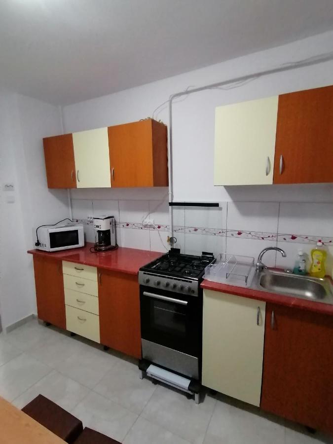 Concordia Apartament Brăila エクステリア 写真