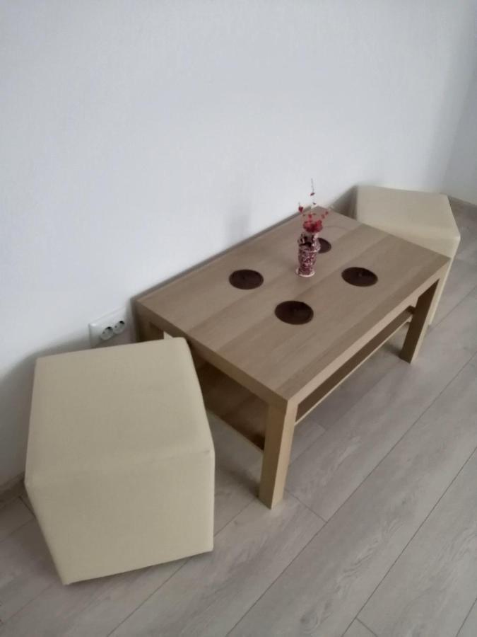 Concordia Apartament Brăila エクステリア 写真