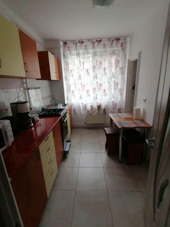 Concordia Apartament Brăila エクステリア 写真