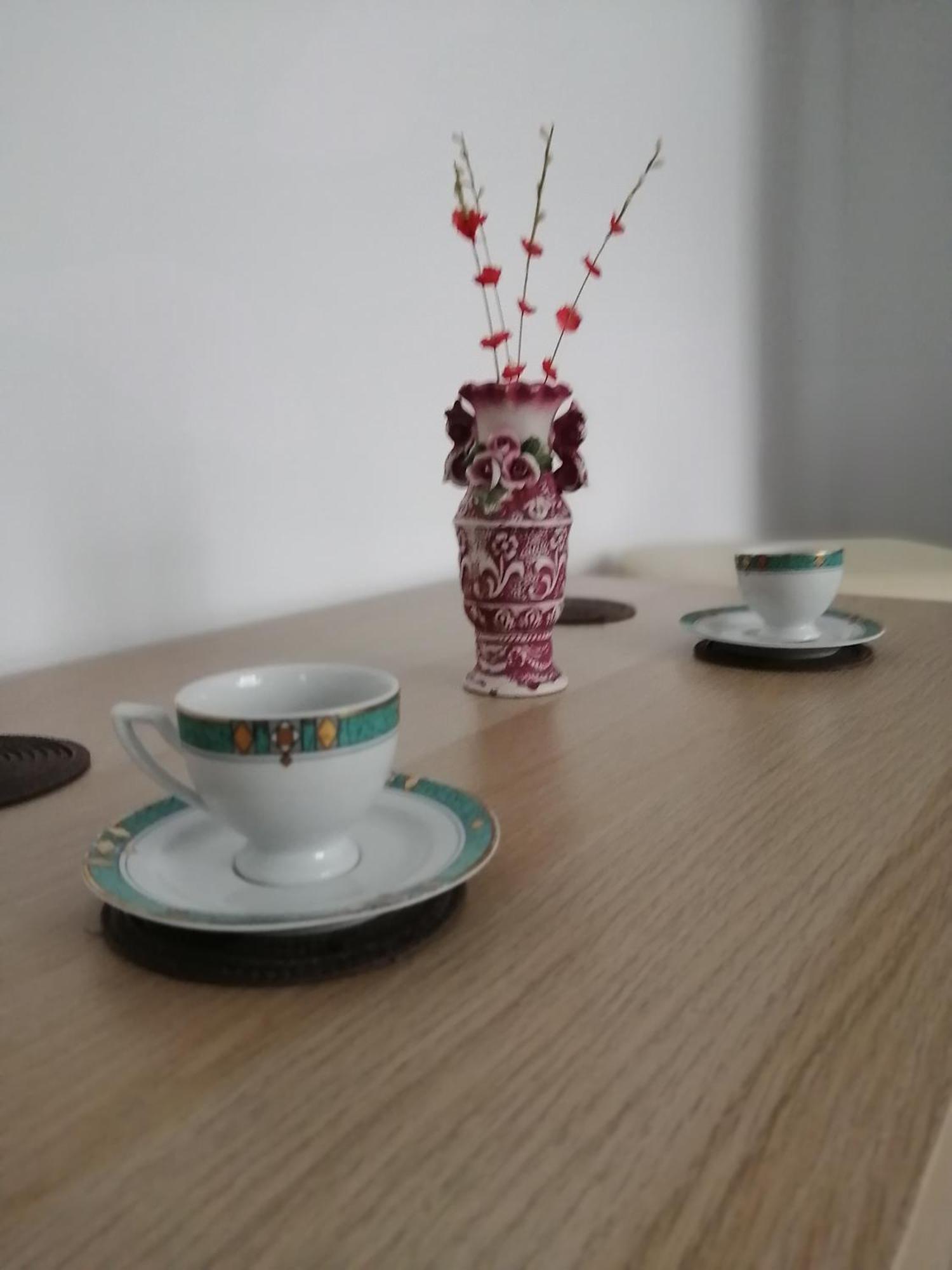 Concordia Apartament Brăila エクステリア 写真